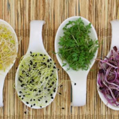 VAI TRÒ CỦA DINH DƯỠNG ĐỐI VỚI CƠ THỂ CON NGƯỜI